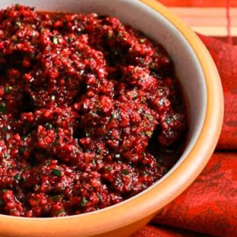 Trina's Low-Sugar Fresh Cranberry Salsa Recipe with Cilantro, Lime, and Jalapeno found on 