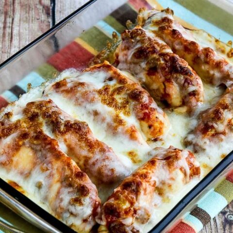 Instant Pot Salsa Chicken with Lime and Melted Mozzarella found on 