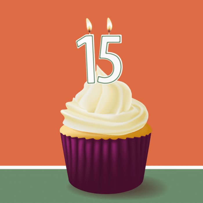 Danica's Kitchen turns 15 Today - Image and Pinterest Image